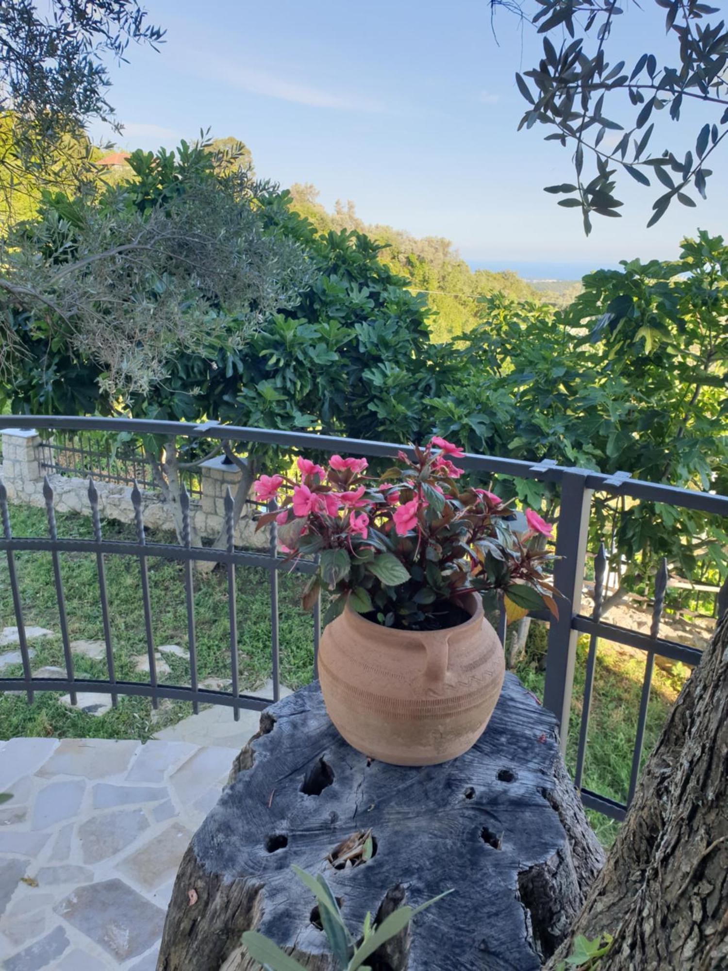 אולסינץ' Rustic Villas Barlovic מראה חיצוני תמונה